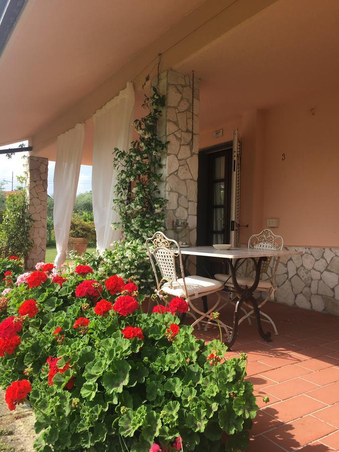 B&B Il Portico サルツァーナ エクステリア 写真
